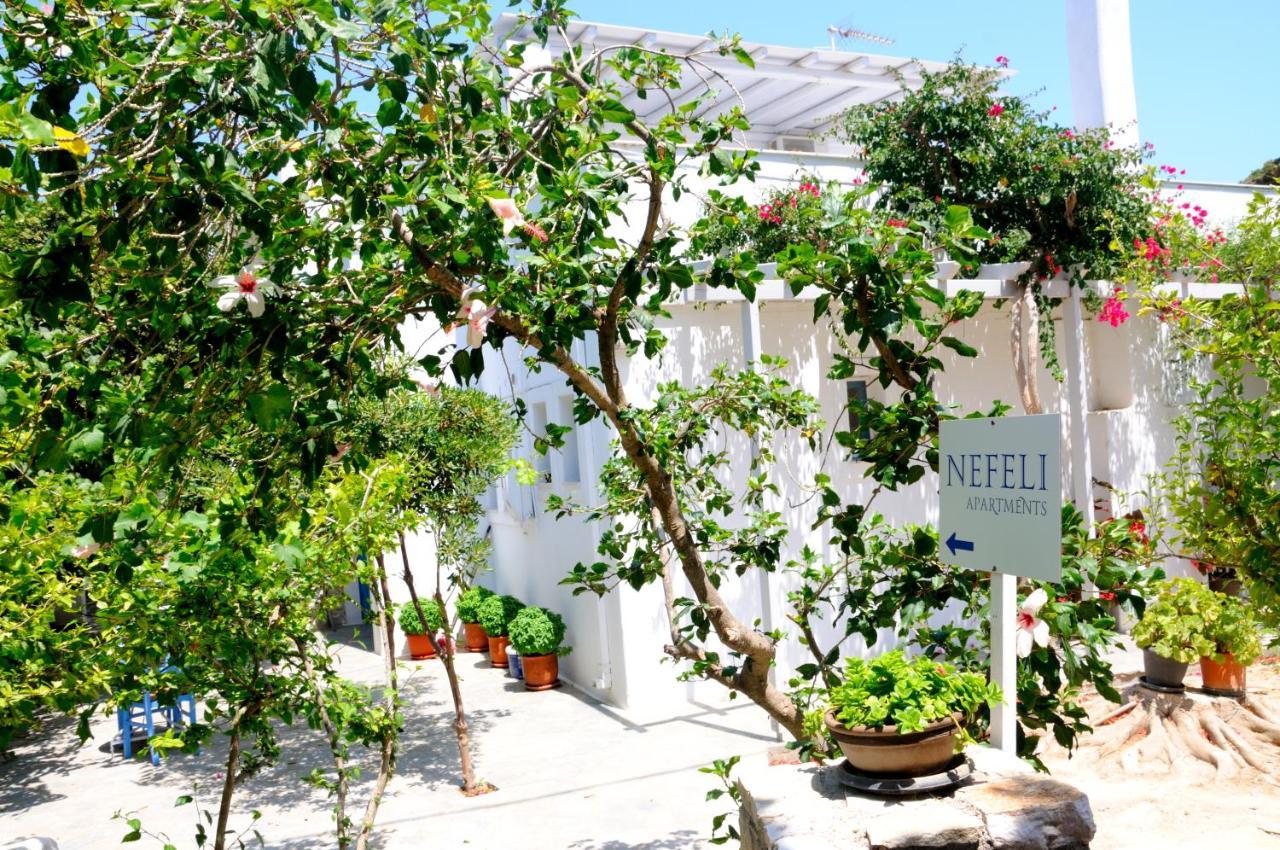 Nefeli Apartment Drios Exterior photo